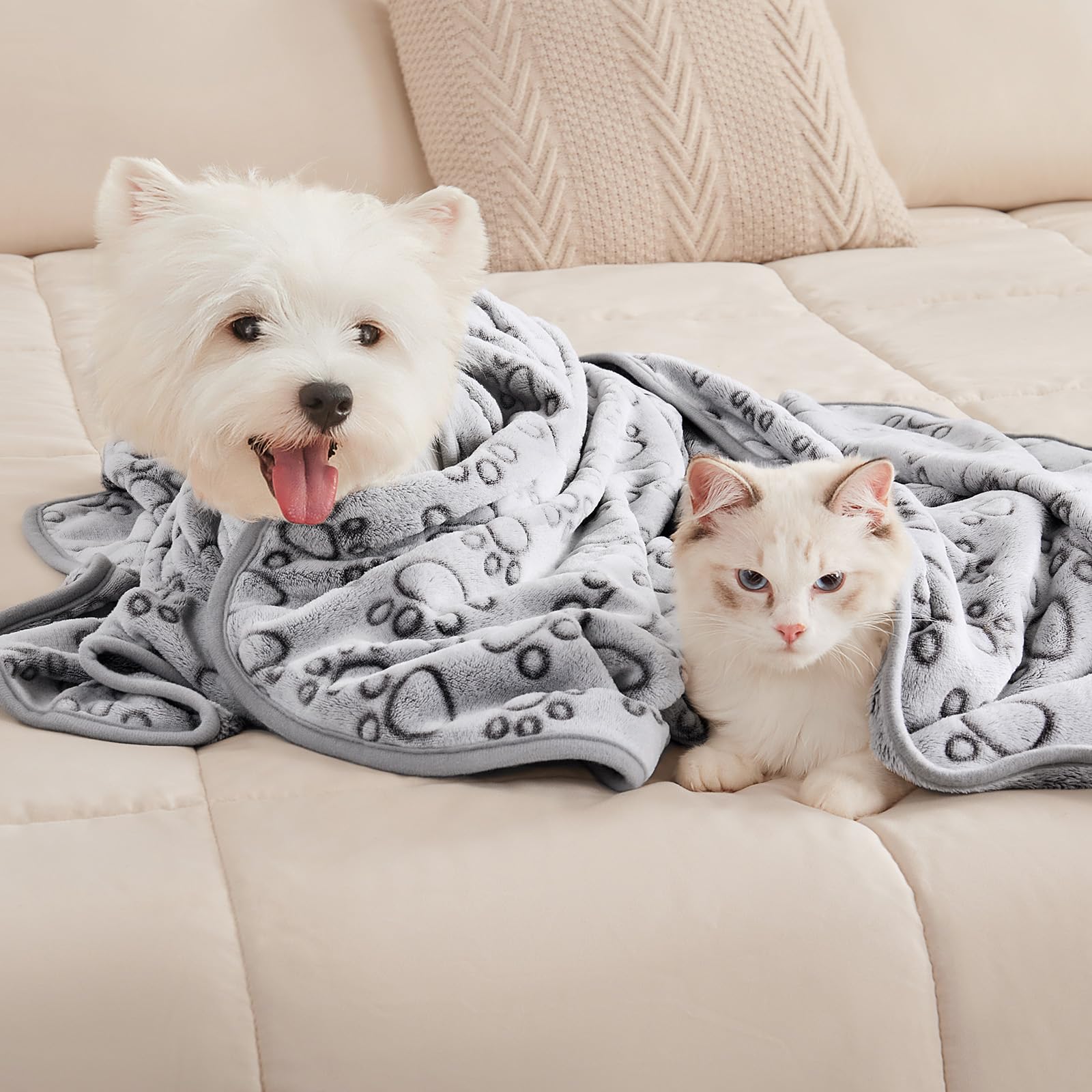 Lot de 3 couvertures en Polaire Douce pour Petit Chien et Chat de Taille Moyenne – Cadeau Essentiel pour Chat et Chiot – Gris – Taille L (104,1 x 78,7 cm)
