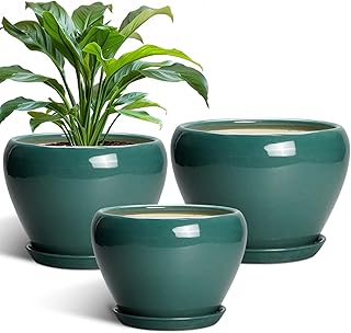 Ceramic Pots for Plants, 10+8+6 Inch Ceramic Plant Pot for Indoor Outdoo...