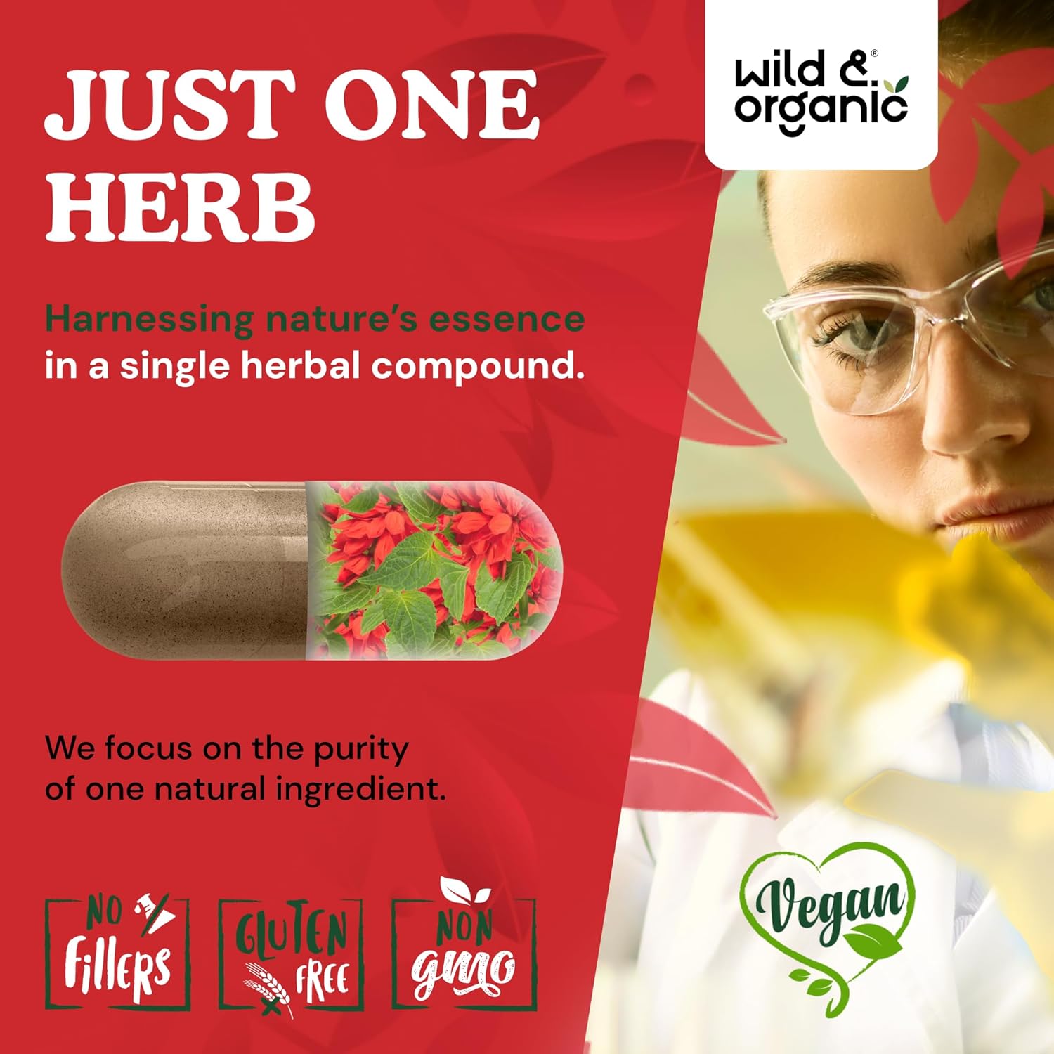 Wild & Organic Red Sage Capsules - 1200 mg Dan Shen Supplement - Chinese Red Sage Powder for Antioxidant Support - 60 Days of Supply - 120 Vegan Capsules - Non-GMO, Vegan, No Fillers - Image 5