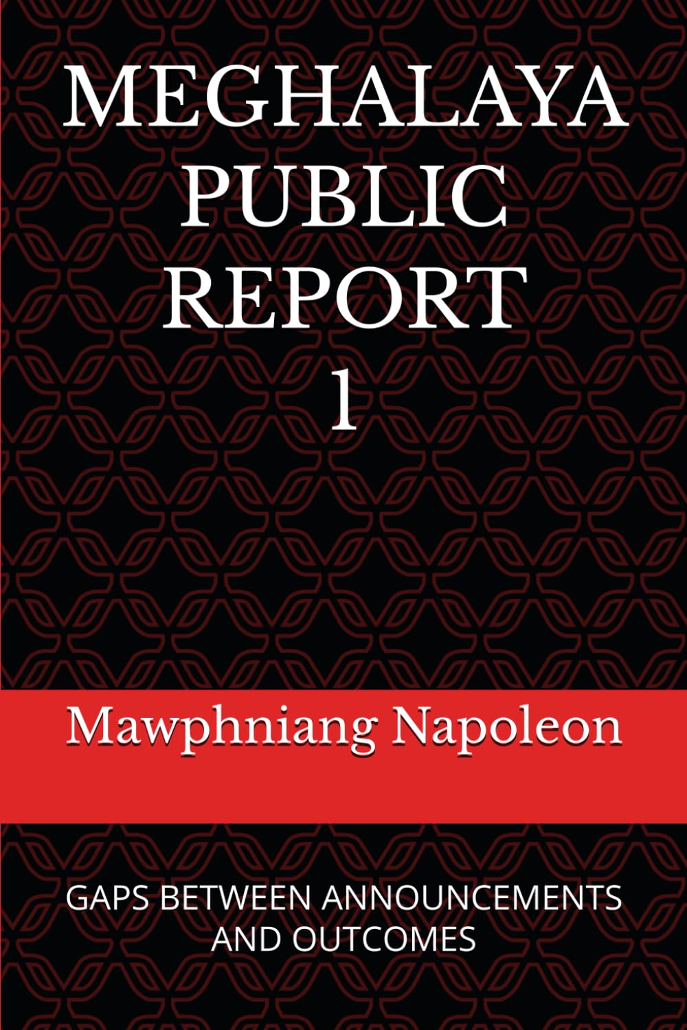 MEGHALAYA PUBLIC REPORT 1: GAPS BETWEEN ANNOUNCEMENTS AND OUTCOMES