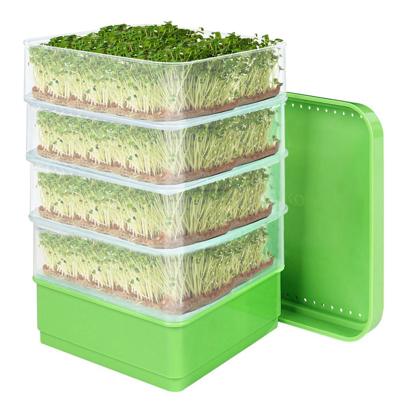 Lot de 2 plateaux de germination de graines de haricots pour plantes microvertes, bac d'égouttement, kit de culture empilable avec quatre niveaux