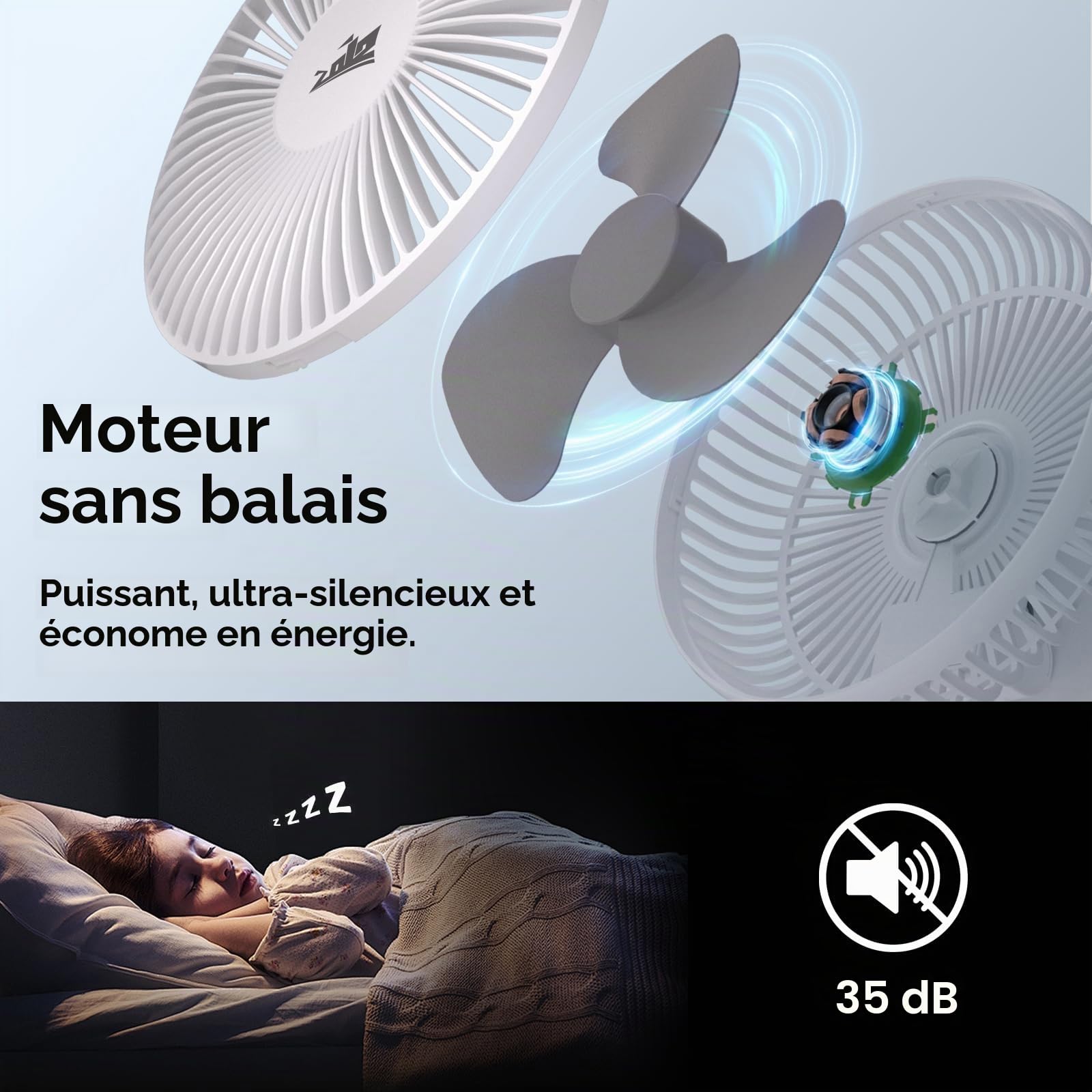 ZOIZ Ventilateur Camping-Car 12V avec LED 4 Couleurs, Ventilateur Mural et de Table, Double Alimentation 12V et USB-C, Oscillant Silencieux pour Van Aménagé, Caravane, Bateau, Chambre & Vanlife