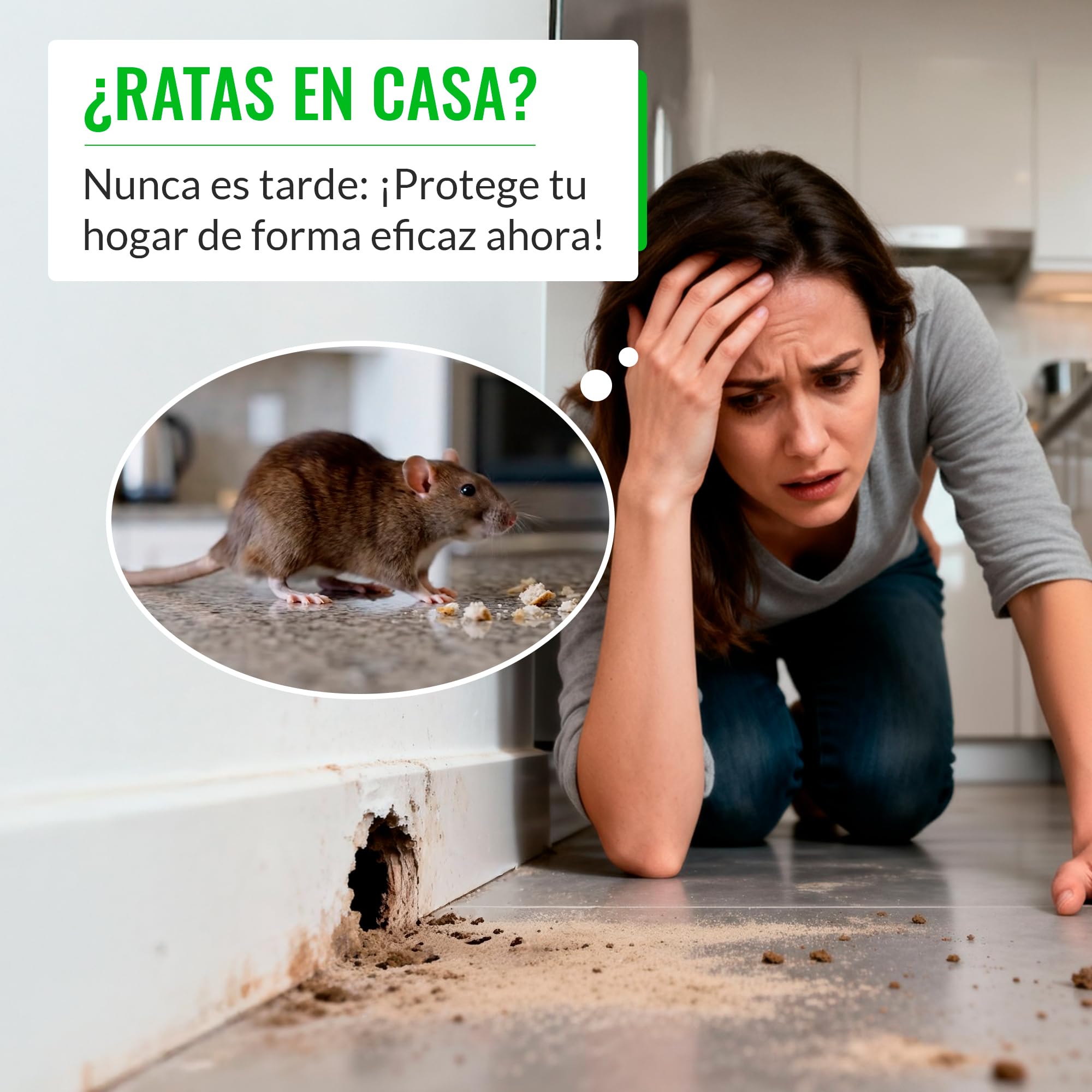 Mice&Co Trampas para Ratas y Ratones Profesionales - Caja Portacebos para Ratas y Ratones | Estación de Cebo Veneno Interior y Exterior | Pack 4 Unidades