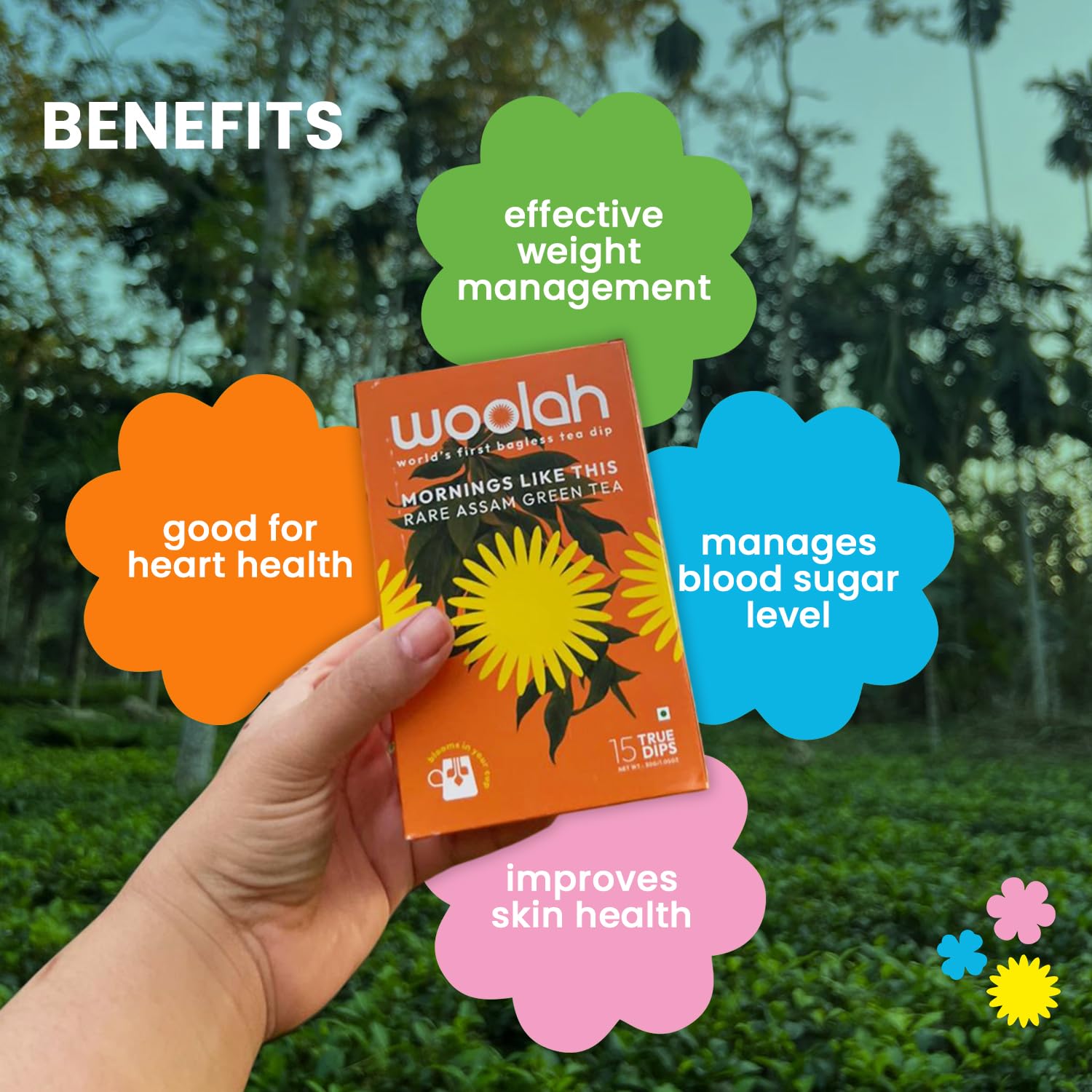 Woolah Artisanal Assam Green Tea, Organic Bagless Tea Dip (2 Packs = 30 Dips /60 Cups) 100% Plastic Free, Natural Whole Leaf, High Antioxidants Supports Weight Management, Skin And Heart Health - Image 4 thumbnail