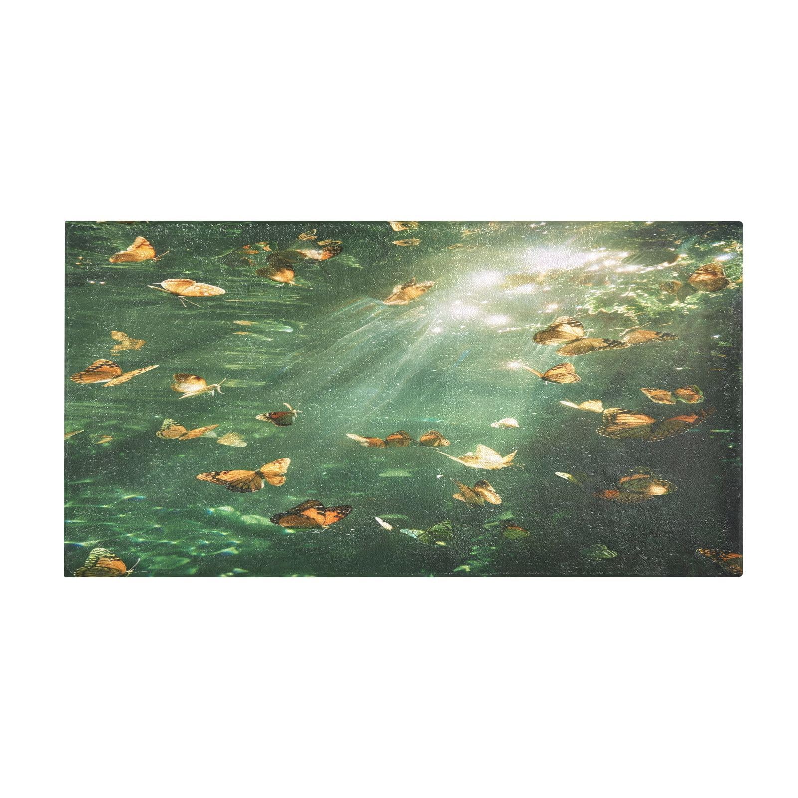 MNSRUU DALAWU Bath Mats for Bathroom Front Door Mat Outside Entrance Clear Green Water and Butterfly 39 x
