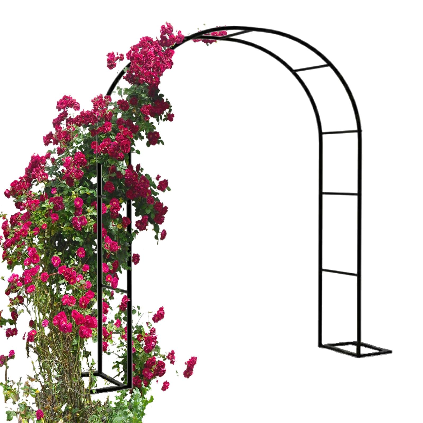 Arche de jardin en métal pour plantes grimpantes et support robuste de tonnelle de mariage
