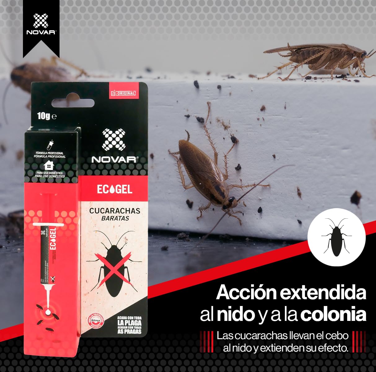 Seringue Anti-Cafards Appât Gel Insecticide Puissant 10g