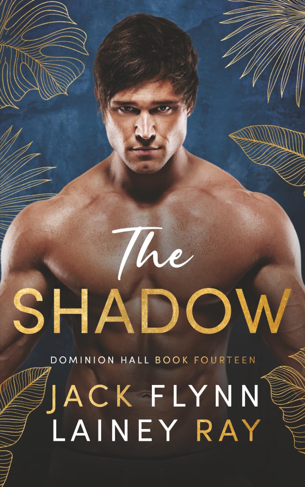 The Shadow: A Dark Billionaire Military Romance (Dominion Hall)