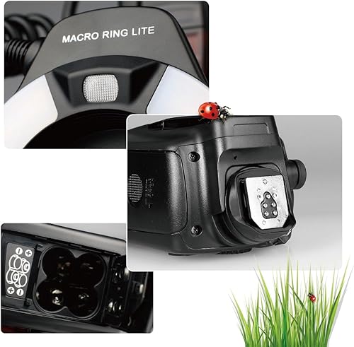 Miniatura 4 de MEKE MK-14EXT-C E-TTL Macro LED Ring Flash con LED AF Assist Lamp para EOS 4000D 70D 77D 80D Rebel T7i T6i T6s T6 T5i T5 T4i T3i SL2 y otras cámaras