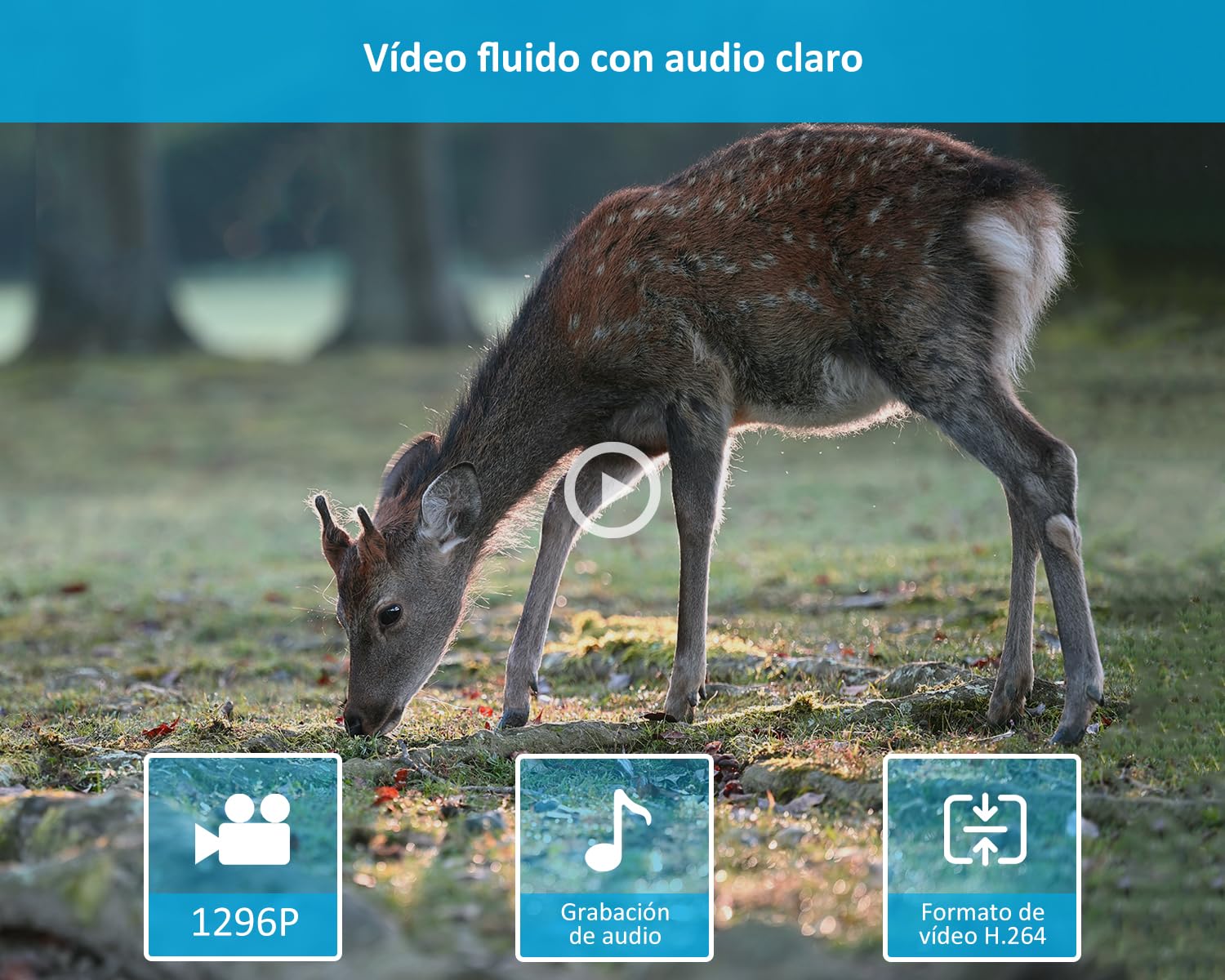 GardePro E5S Câmaras de Caça 64MP 1296P H.264 Vidéo, Camara Fototrampeo con Alcance de Visión Nocturna de 30m y 0,1s Tiempo de Activación, LED IR de 940nm