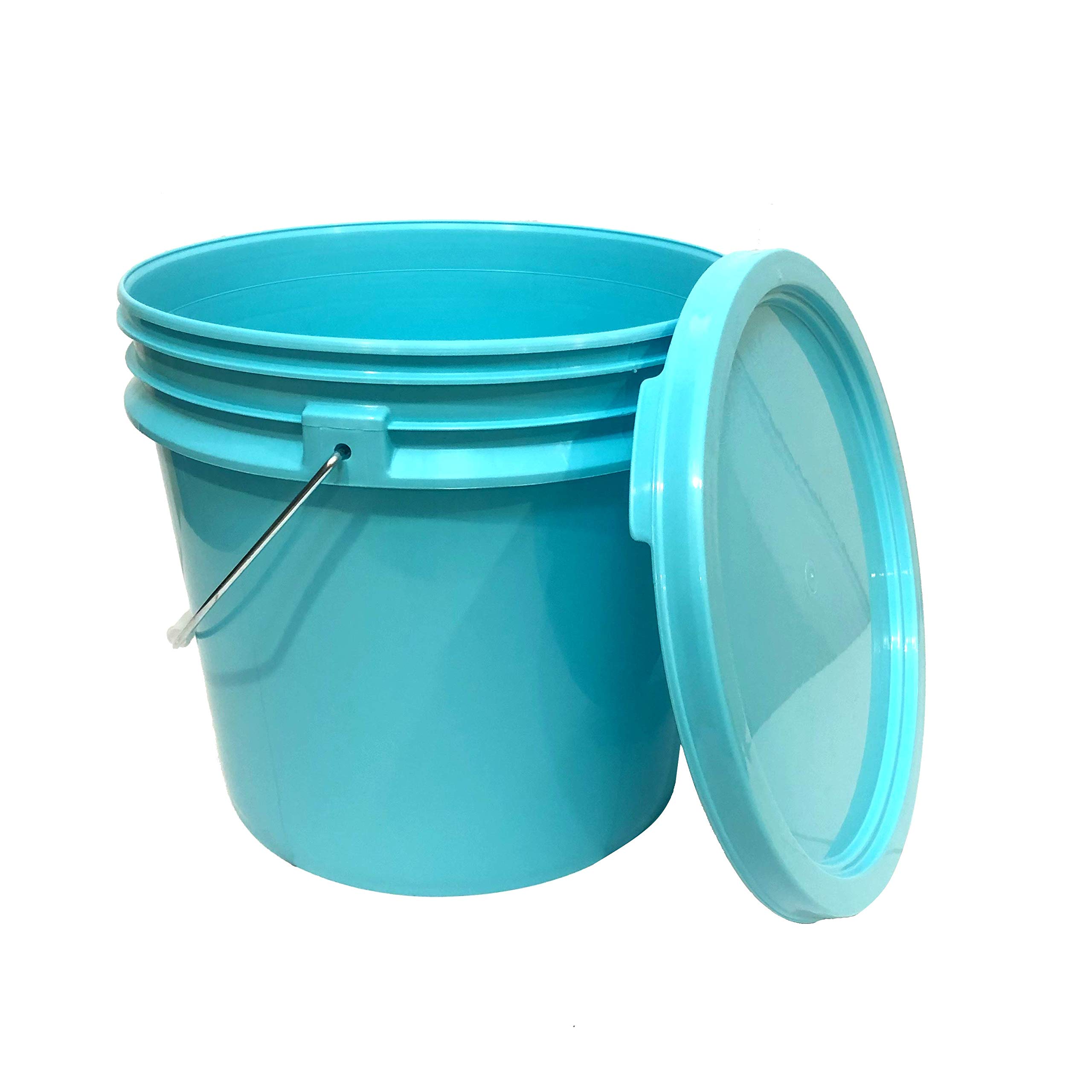 Heavy Duty Detailing Bucket (3.5 Gal) and Bucket Lid (for Car Wash, Boat, Truck, RV, Fishing & More) (Aqua Blue)
