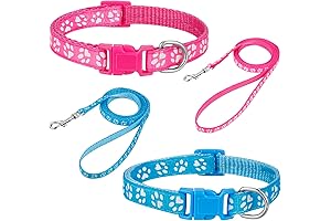 BOUMUSOE 2-Pack Extra Small Dog Collar and Leash Set: A Perfect Fit for Tiny Paws