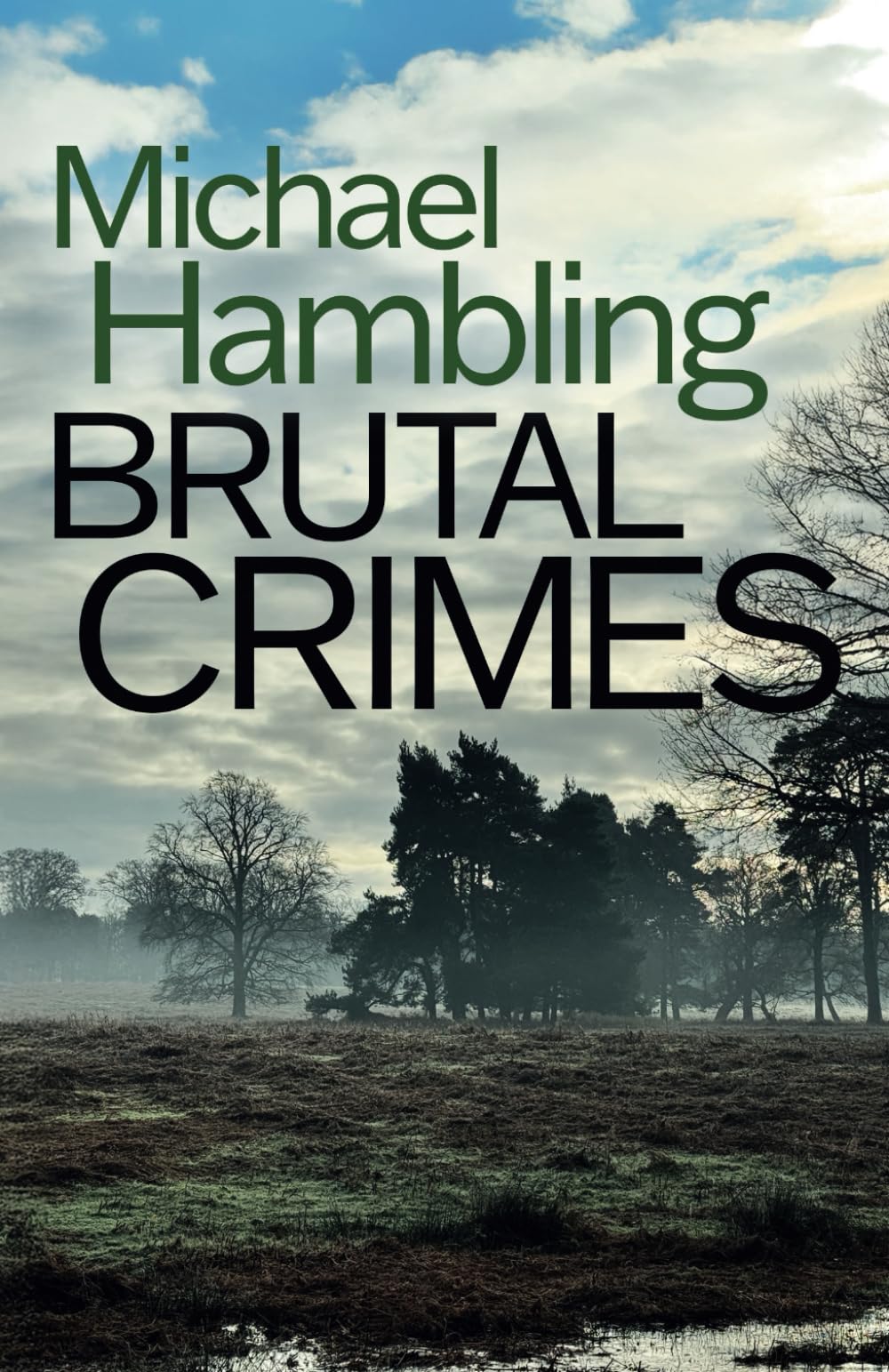 BRUTAL CRIMES a British crime mystery full of twists (Detective Sophie Allen)