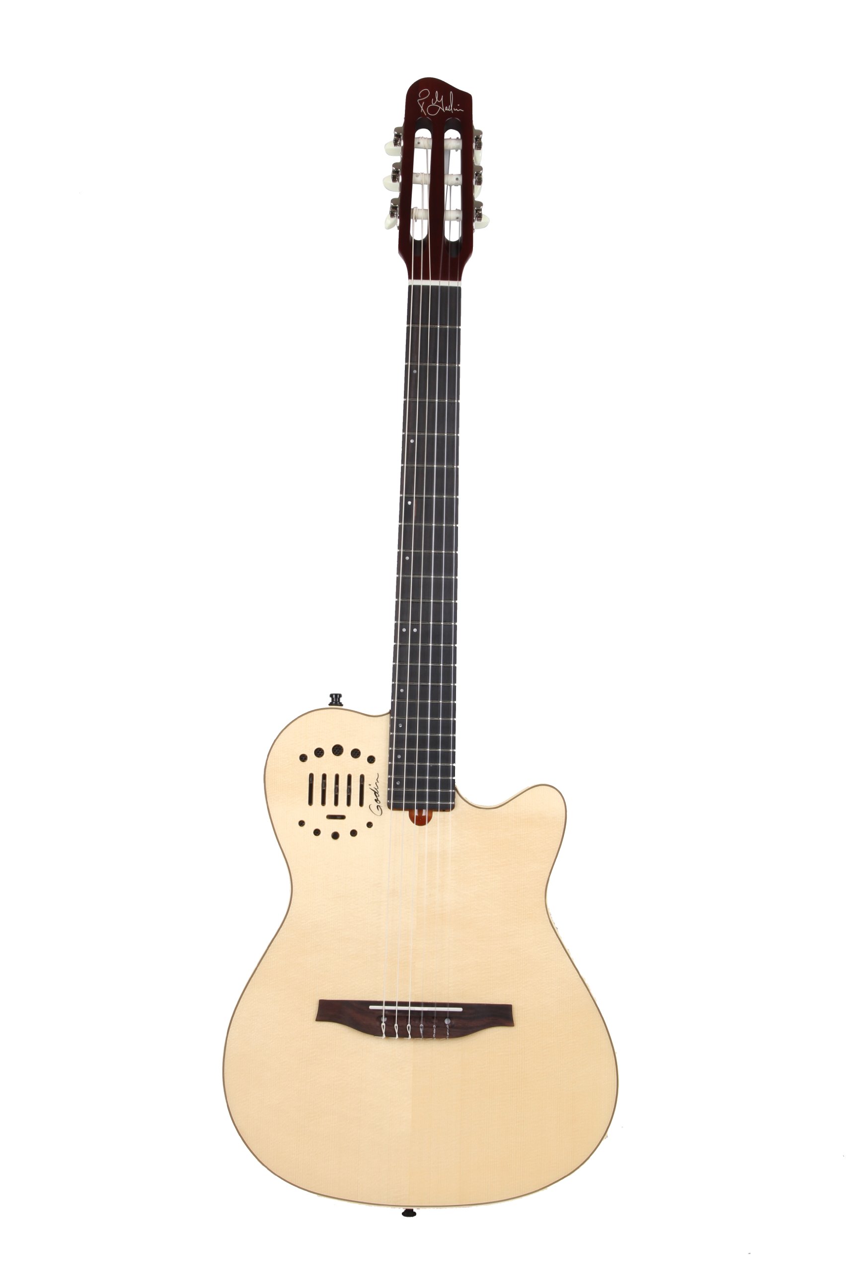 Godin MULTIAC DUET NYLON | ヤマダウェブコム