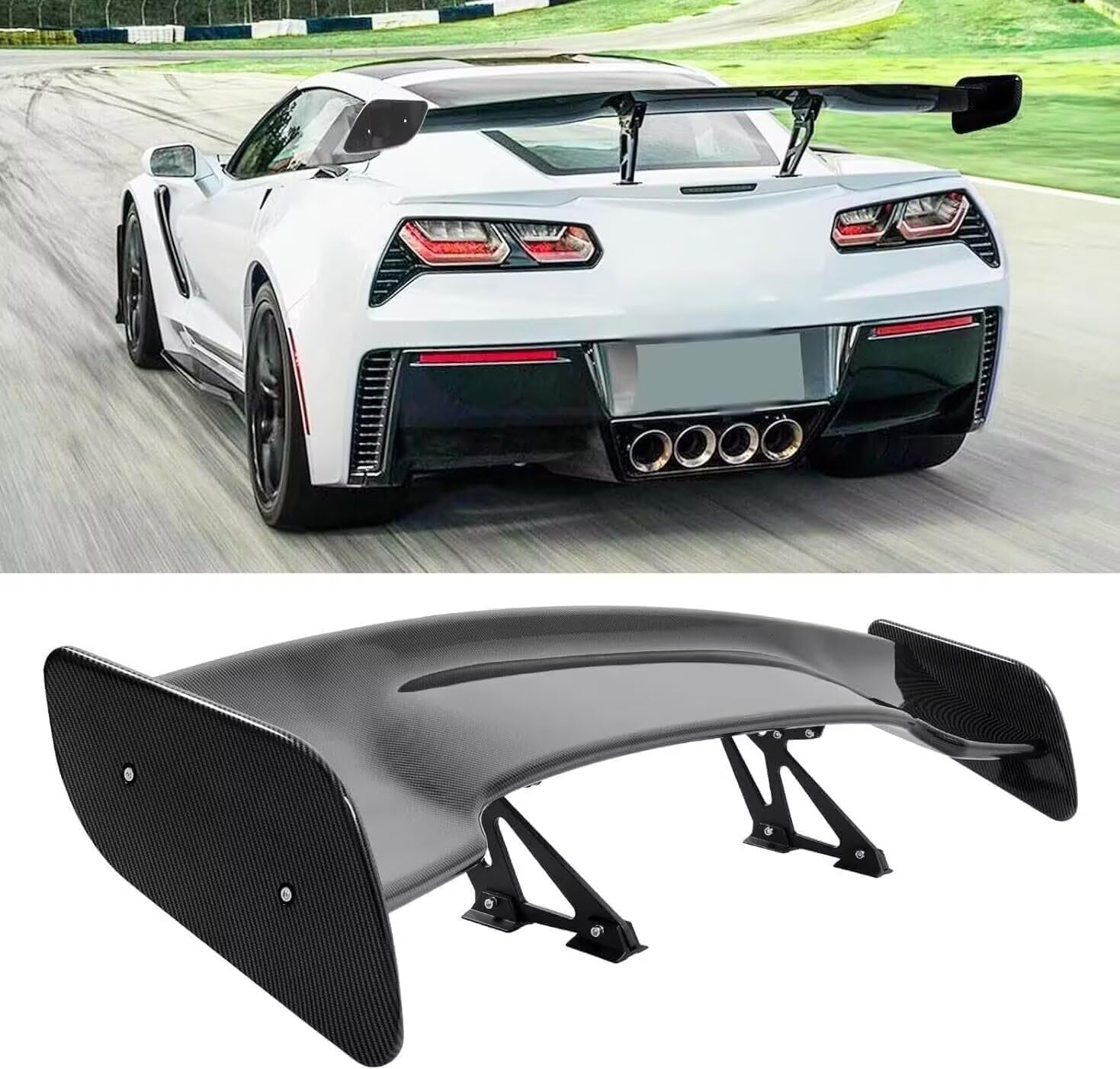 真作】大関青園/観音図/仏事掛/人物図/掛軸☆宝船☆AD-551 真作】大関