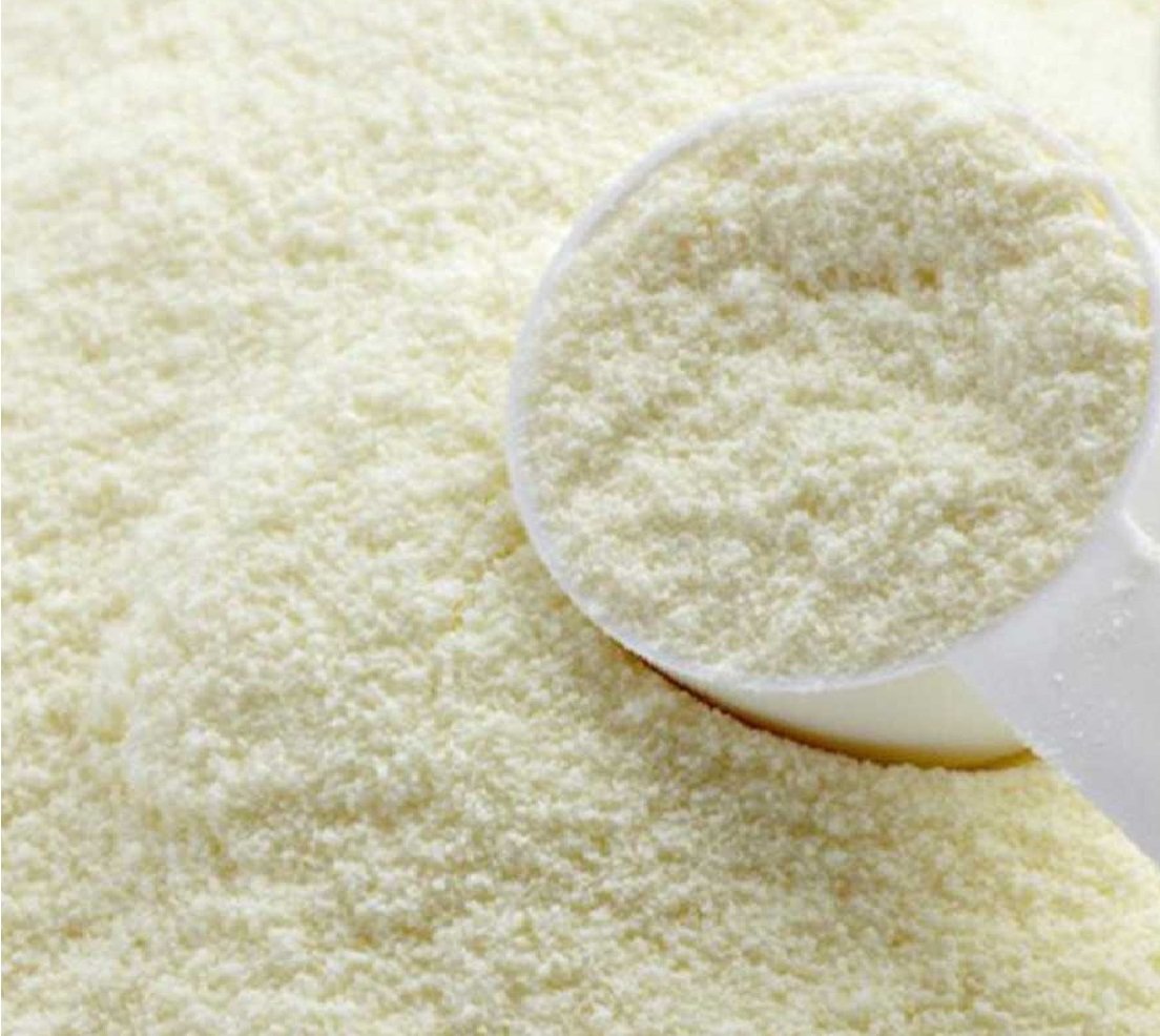 KG 3 REGILAIT LECHE EN POLVO ENTERA INSTANTÁNEA PARA POSTRES Y HELADOS