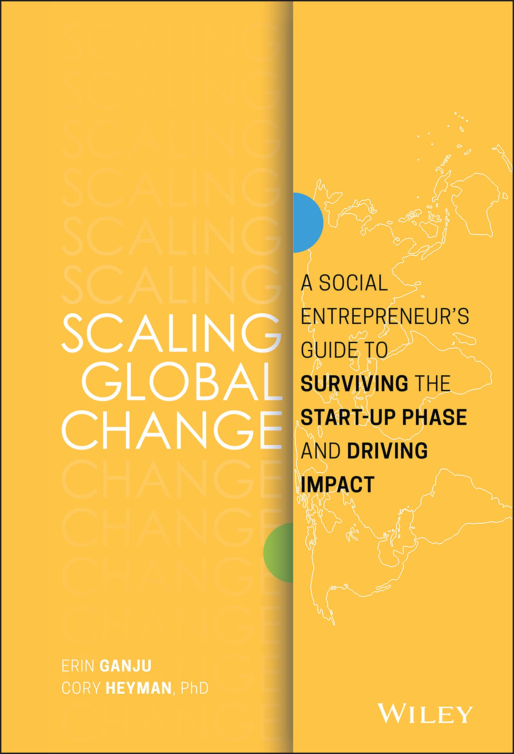 Scaling Global Change: A Social Entrepreneur's Guide to Surviving the Start-up Phase and Driving Impact