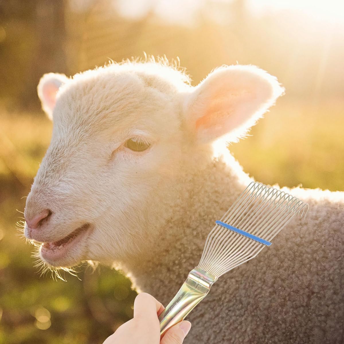 Sheep Wool Comb and Livestock Grooming Rake for Cattle and Horses, 23cm Small Yellow Brush for Itch Relief and Hair Removal, Portable Farm Animal Grooming Tool