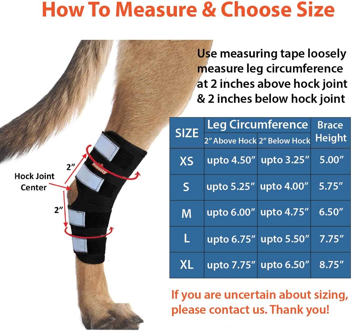 Buy NeoAlly Pair Dog Rear Leg Brace Canine Rear Hock Joint Support with