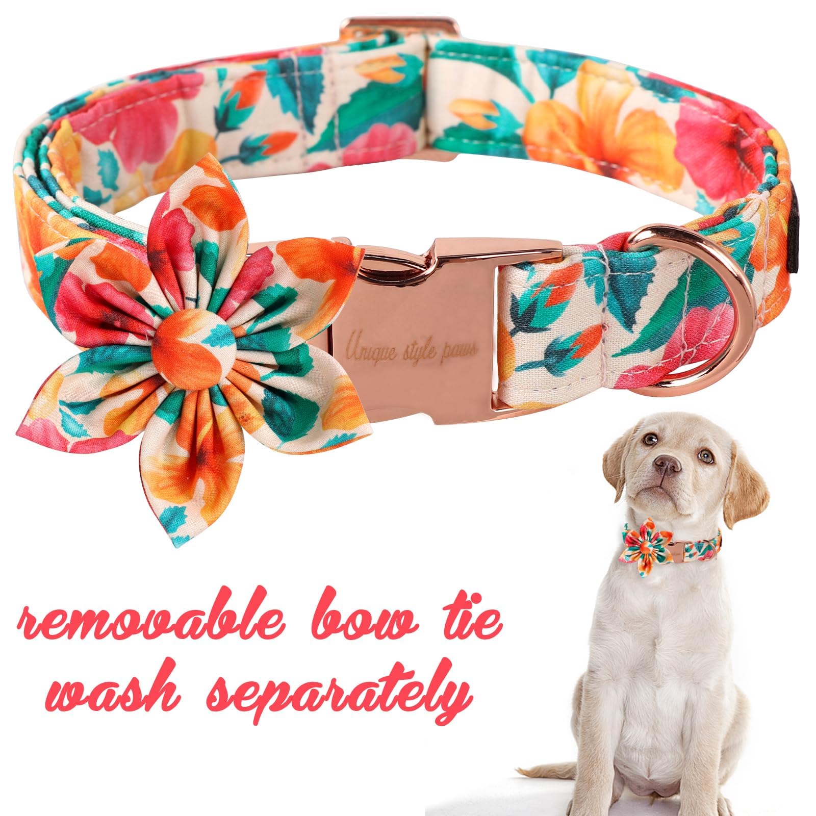 Unique style paws Dog Collar with Flower, Colorful Flower Dog Collar - Image 3