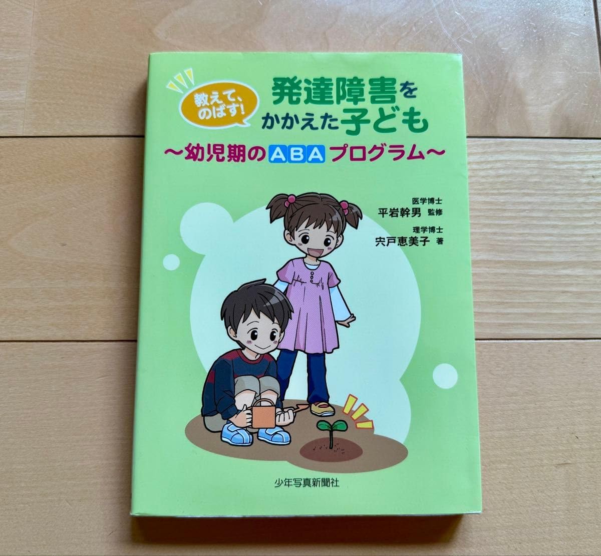 希少美品】LP パンデイロ ケース付き 送料込み サンワダイレクト本店