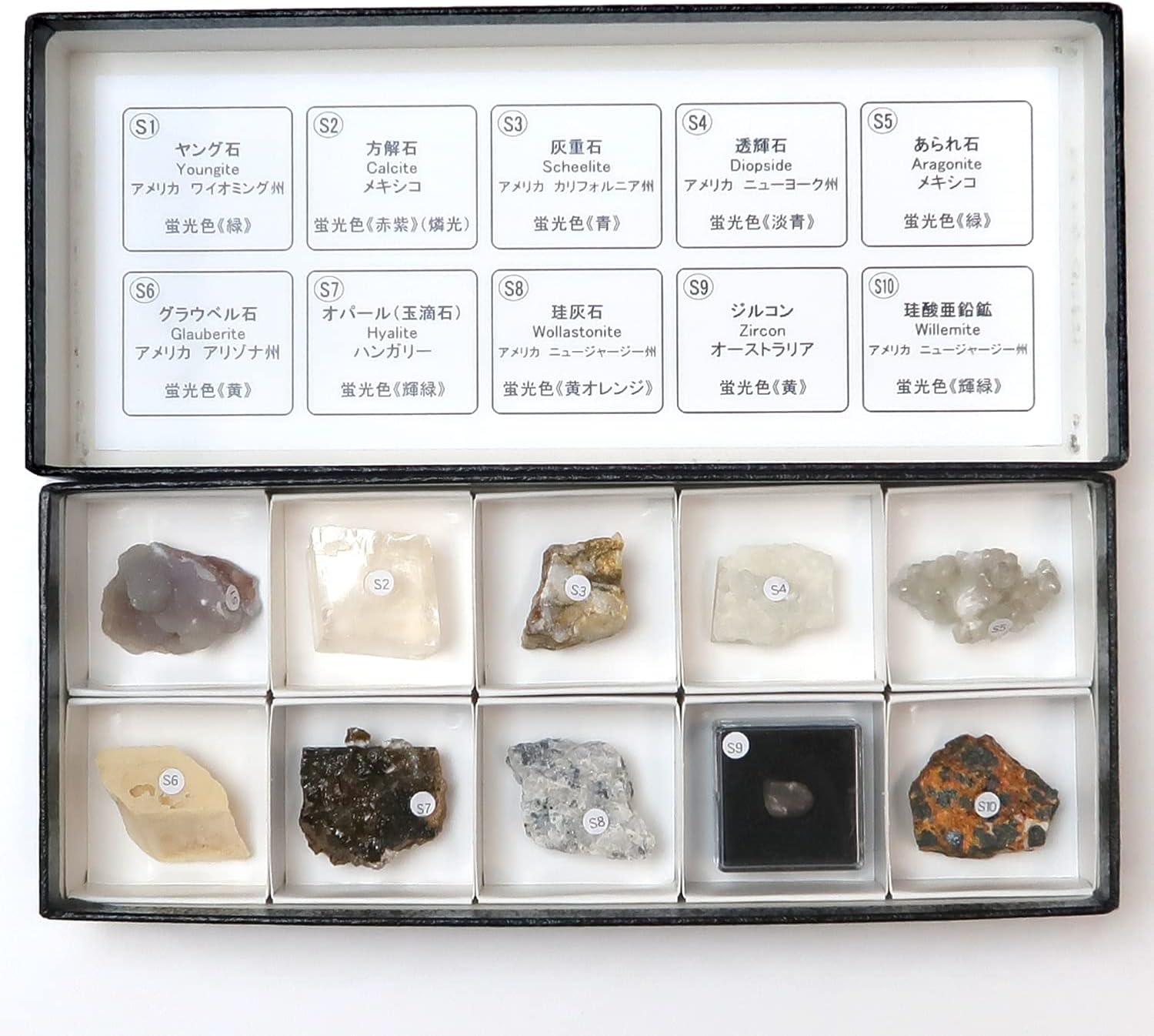 木材標本 3種【日本国産・外国産・熱帯産】 国産木材を利用して、 木材