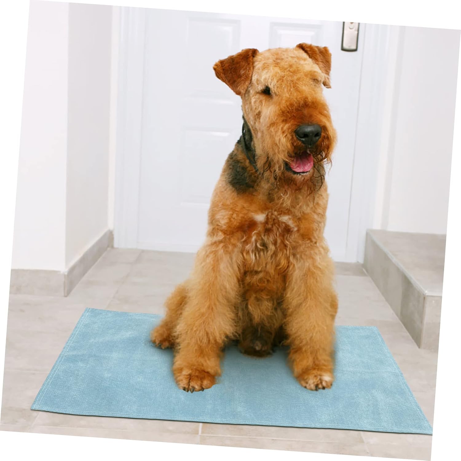 VANZACK Comfortable Pet Blanket for Sofa Couch and Car Mat for Cats and Dogs for Living Room Use