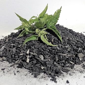 5 L Activated Biochar Plant Charcoal Finished with Nettle Snack Premium Quality Sustainable and Environmentally Friendly Made in Germany