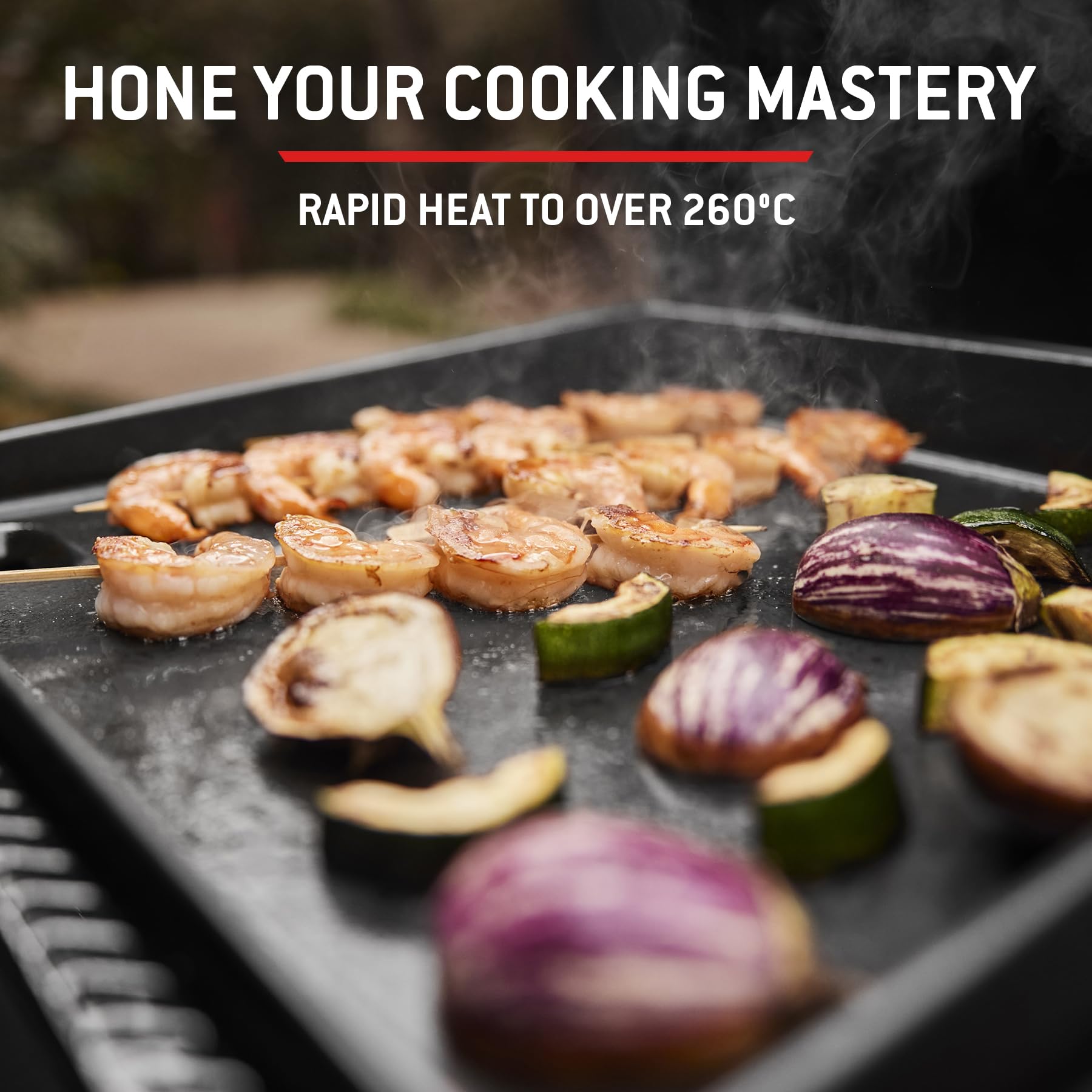 Weber Plancha à gaz SLATE GP Premium