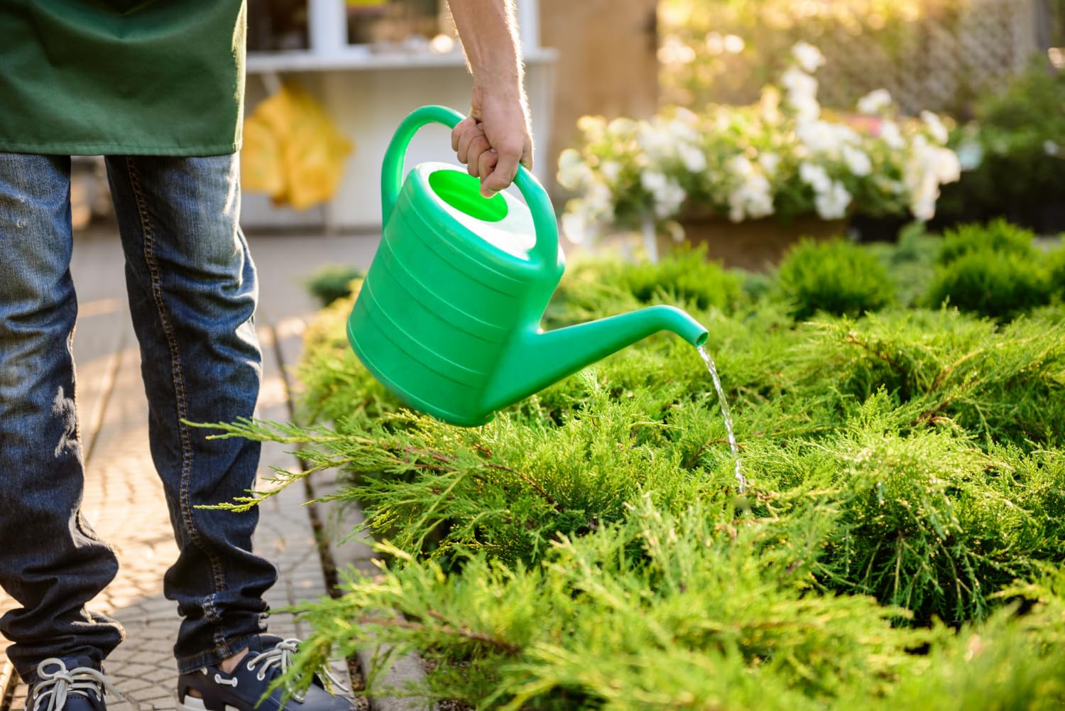 2,5 kg di sale di Epsom - Fertilizzante fogliare, per conifere, magnesio, 2,5 kg