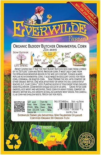 Miniatura 2 de Everwilde Farms - Semillas de maíz ornamentales de carnicero sangriento orgánico de 1 onza - Paquete Gold Vault