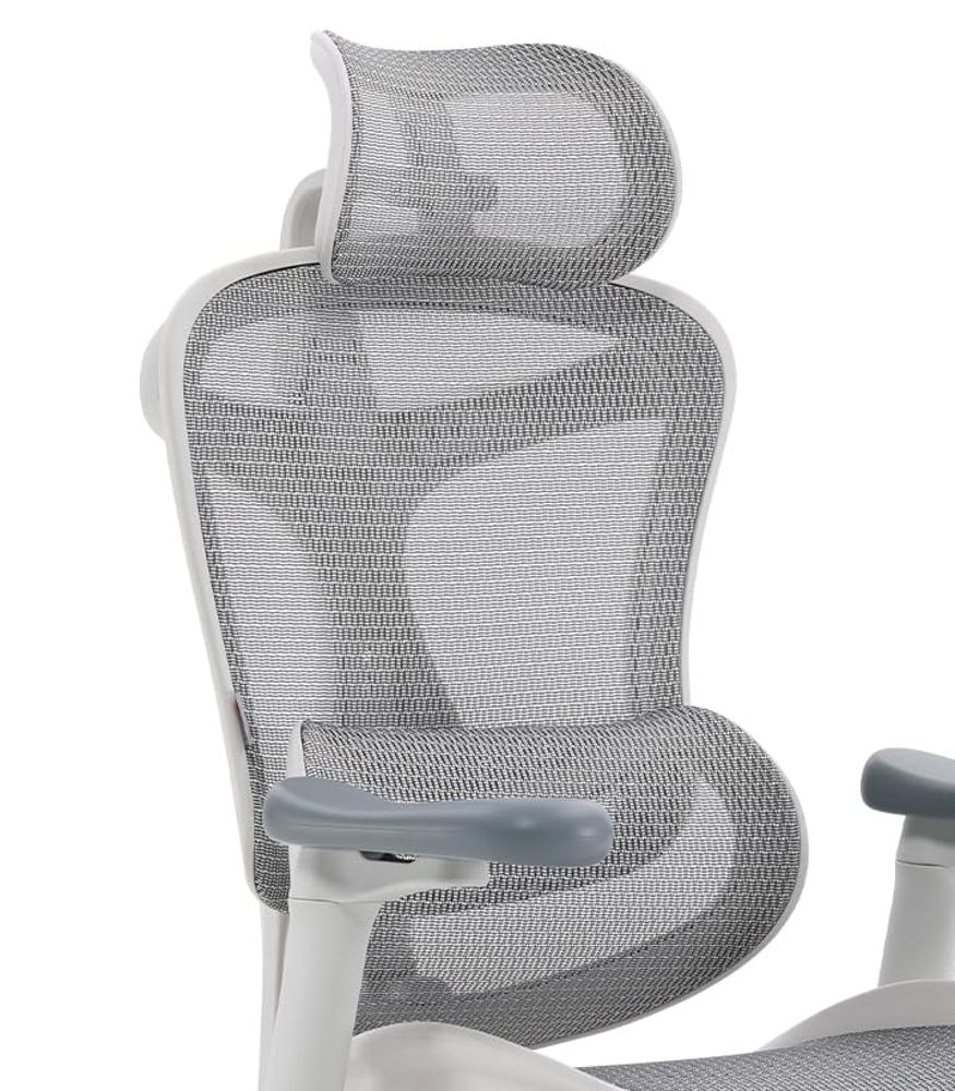 Amazon.com: SIHOO Ergonomic Office Chair Dynamic Lumbar Support