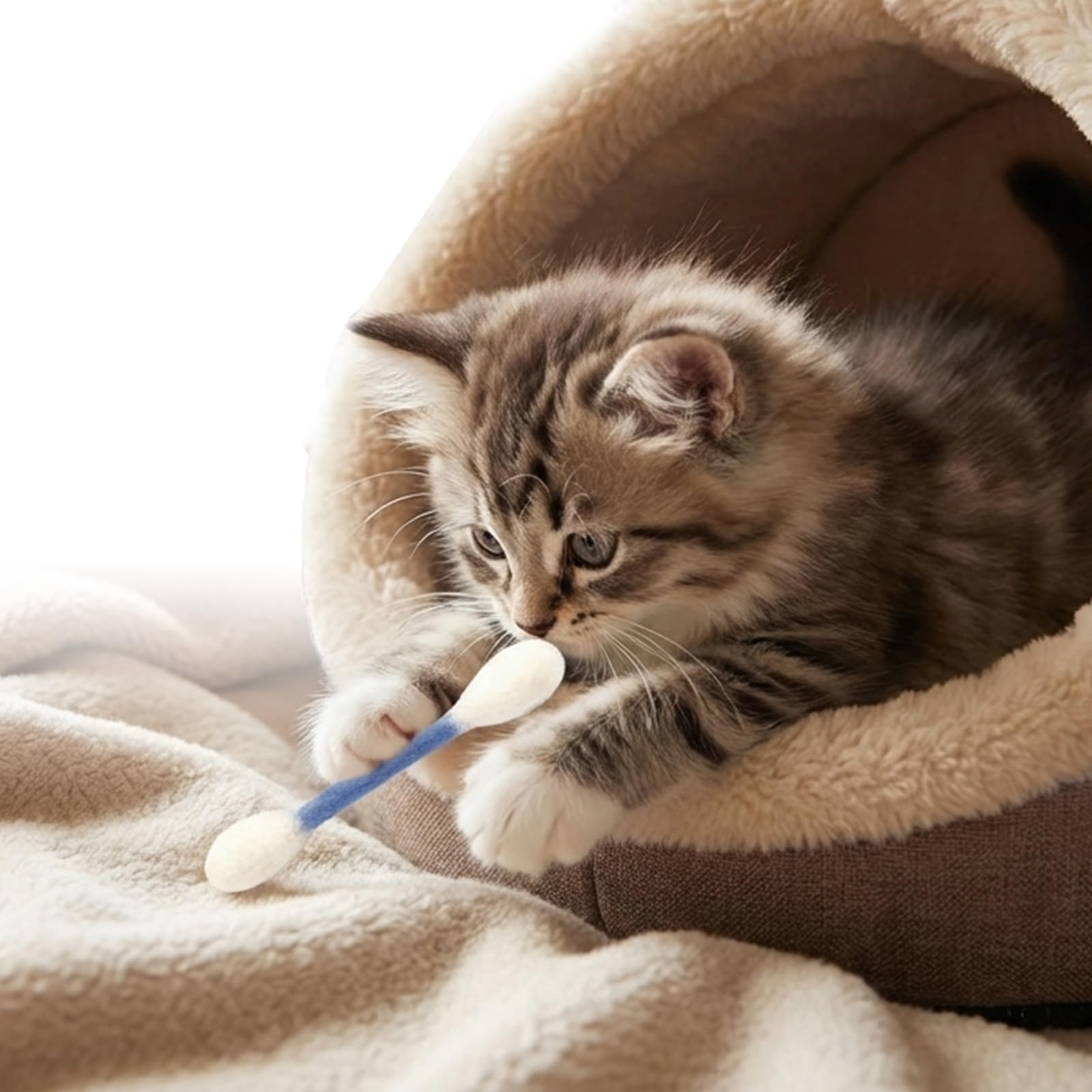Confezione da 6 giocattoli giganti con erba gatta Qtip per gatti e gattini, interattivi, in feltro, da masticare, per dentizione, sollievo dalla noia