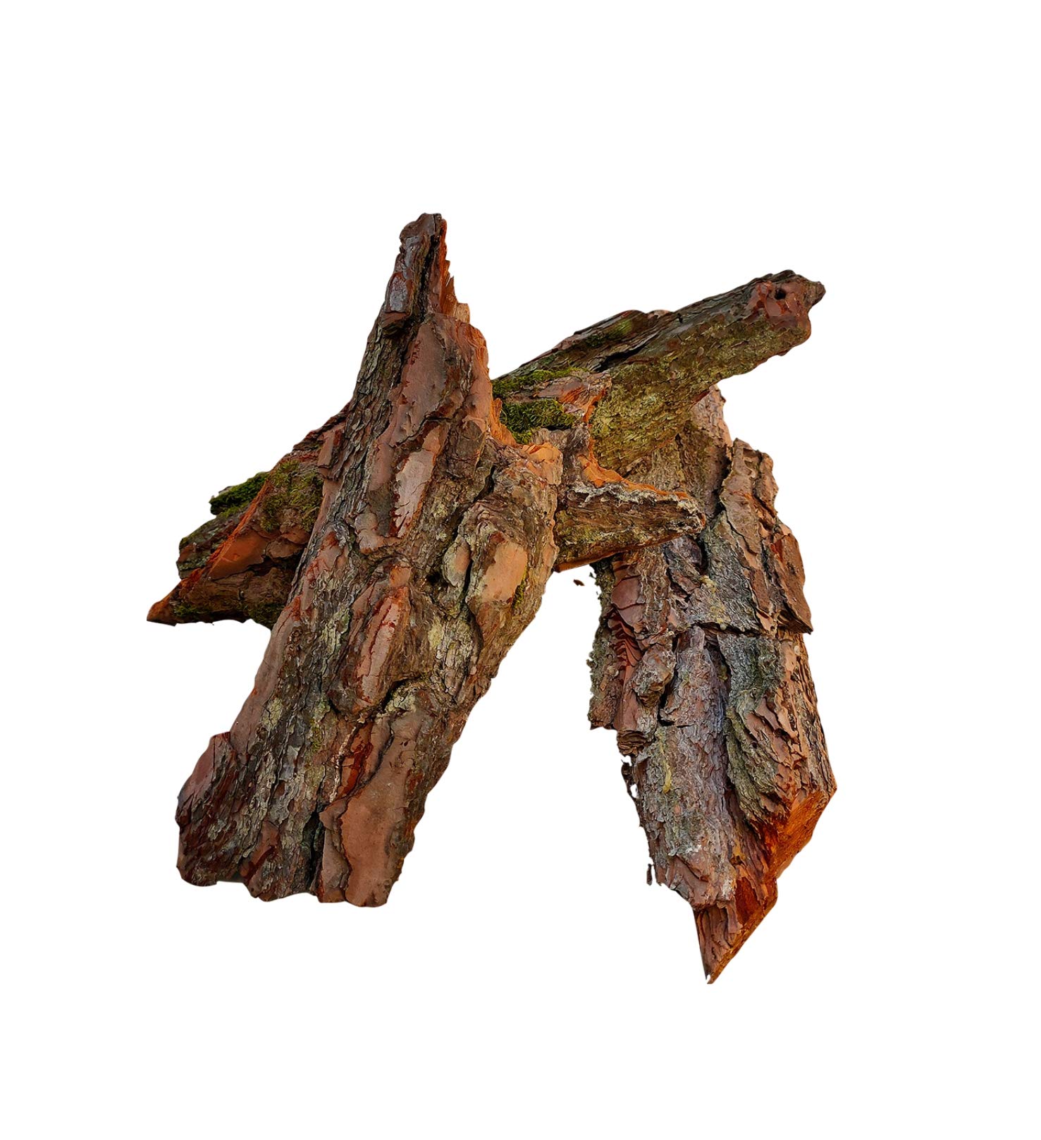 Hand Picked Pine Bark Large for Craft (5 Pieces)