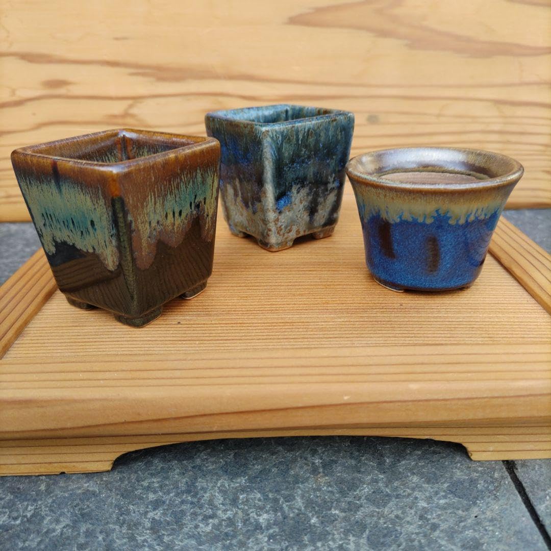 古渡鉢 懸崖鉢 懸崖鉢がいくつか出てきました | まめぼん 〜mamebon〜