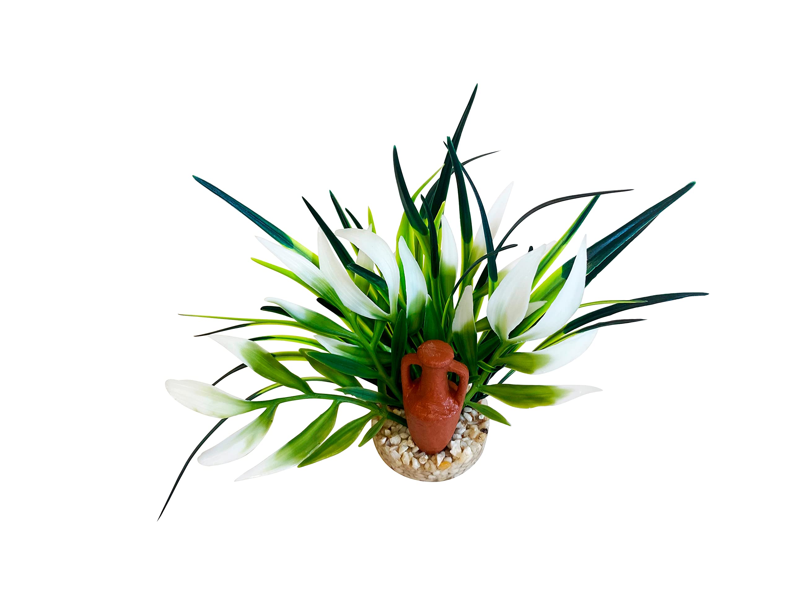 Aquariumdecoratie voor een mooie bak