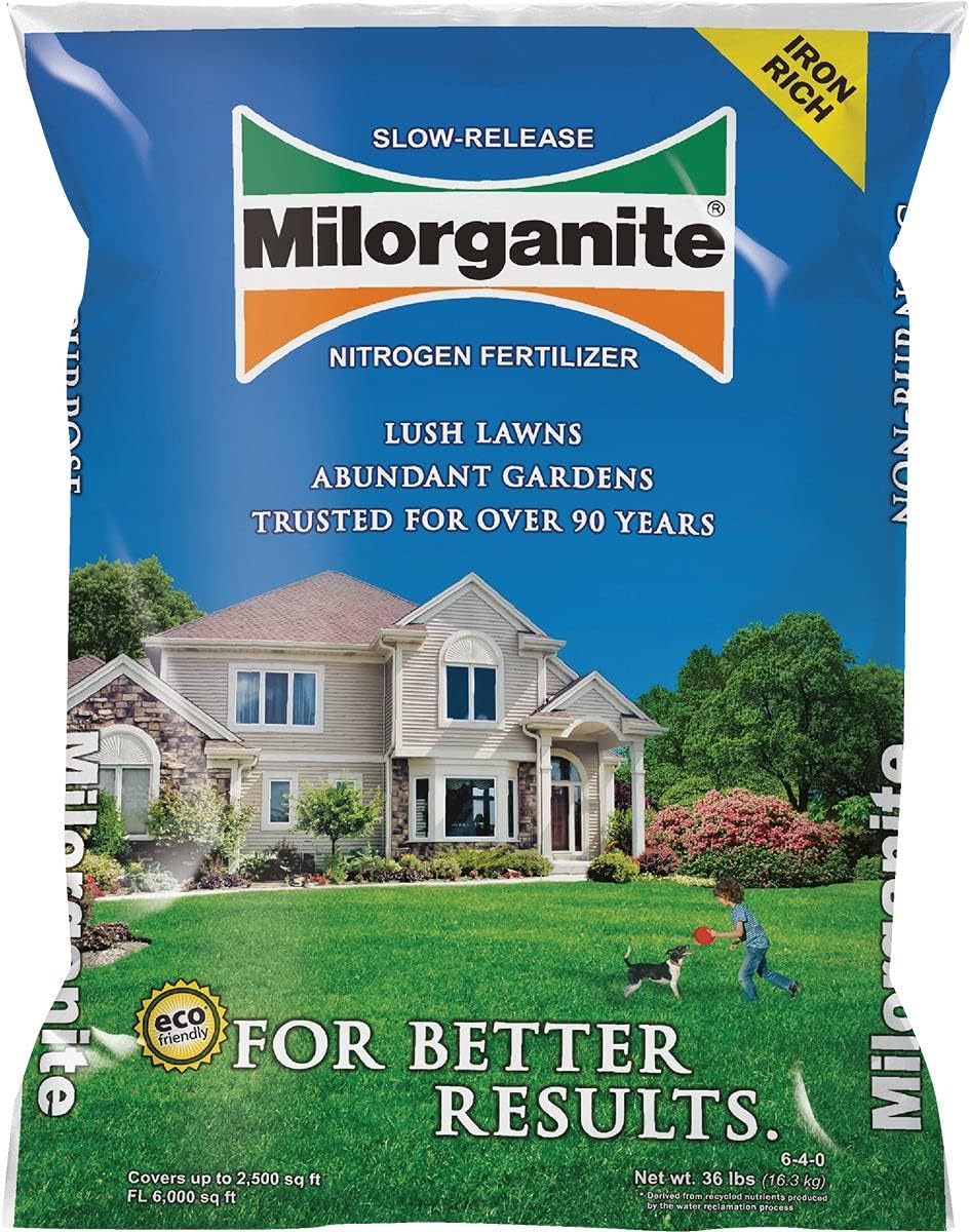 https://m.media-amazon.com/images/I/71pIQt-qVkS._AC_SL1200_.jpg