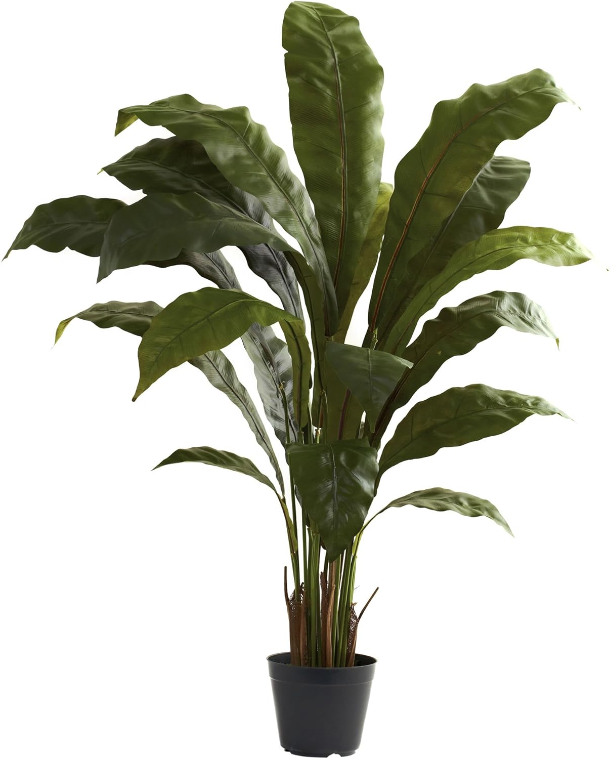 Nearly Natural 3.5ft. Birds nest Plant