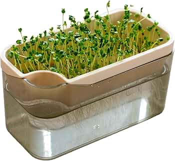 Yuuta Wakasugiページ 71pIWqVXhZL._AC_UF350,