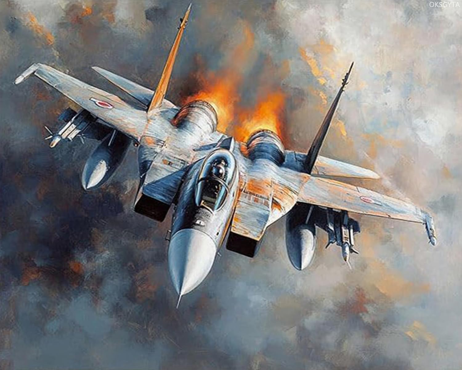 OKSGYTA Vintage Airplane Paint by Numbers for Adults DIY Paint by Numbers Acrylic Paint Canvas Bomber Fighter Painting Kits Art 16" W x 20" L Without Frame