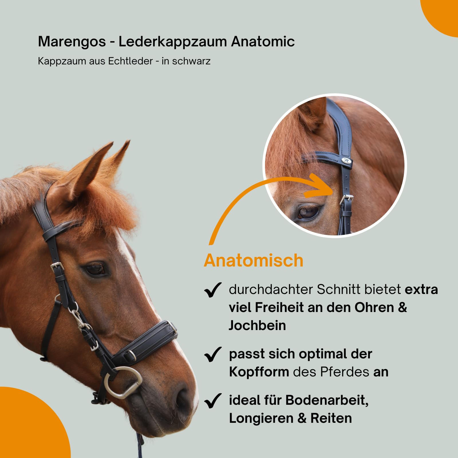 Marengos - Lederkappzaum Anatomic – Kappzaum aus Echtleder – anatomisch & gepolstert – Edelstahl-Beschläge – ideal zum Longieren & Bodenarbeit – braun o. schwarz – Pony, Warm- & Vollblut