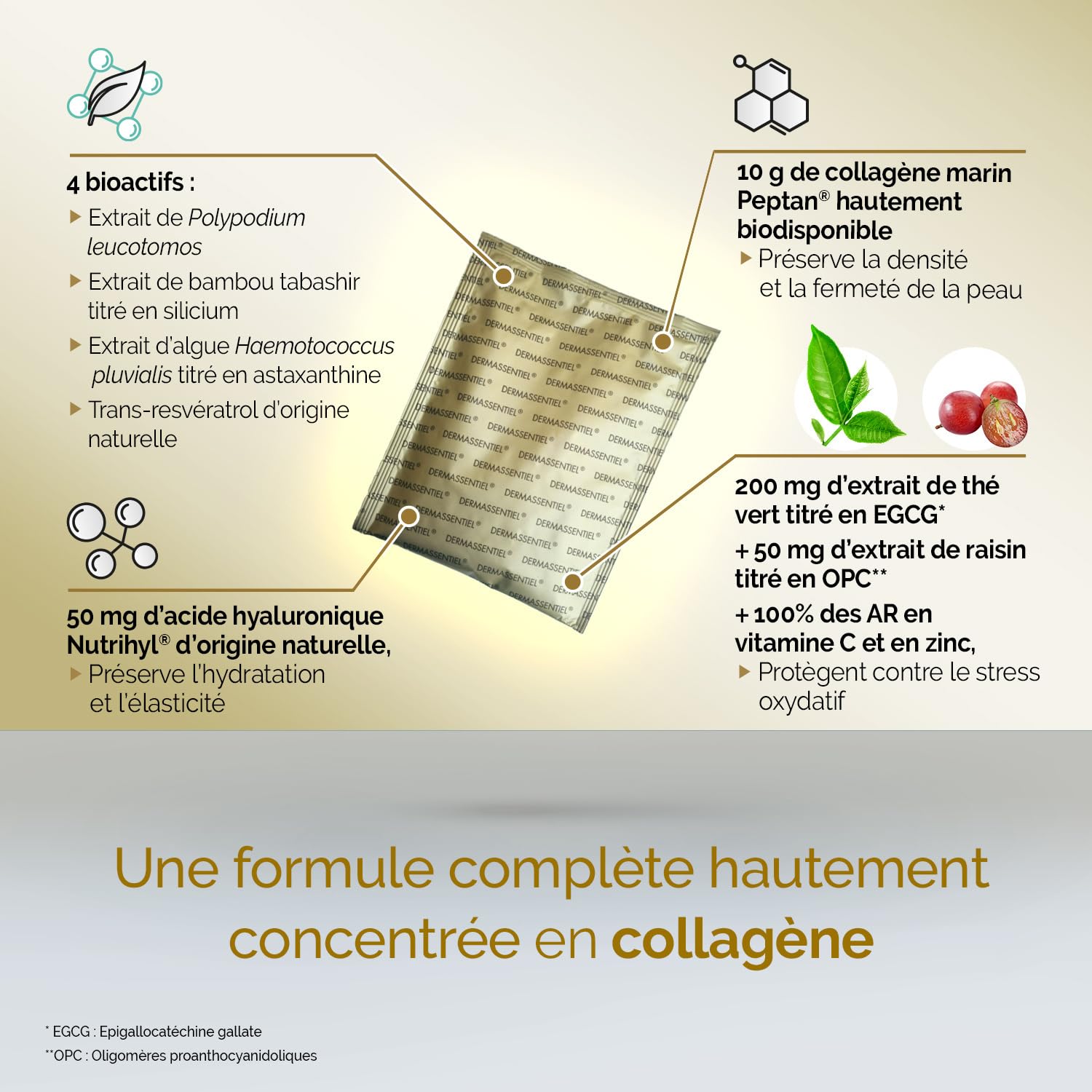 DERMASSENTIEL COLLAGÈNE+ | Repulpe & Raffermit | 10g de Collagène marin hydrolysé Peptan® | Acide hyaluronique Nutrihyl®| 6 Bio-actifs | Zinc + Vitamine C | 15 sachets | Laboratoire THERASCIENCE