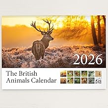 British Animal 2026 Wall Calendar Featuring Stunning Photography of Animals from Britain - Includes All UK & World Holidays & Dates Included | Perfect Christmas Calendar for the Home and Office