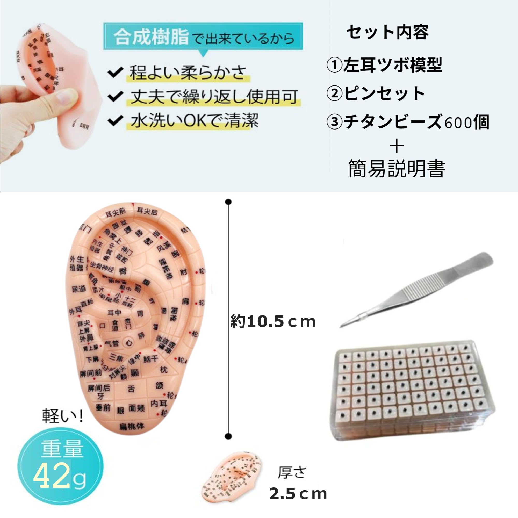 Amazon.co.jp: 【左耳】耳ツボ 模型 耳つぼ 10.5cm 日本語簡易説明書付