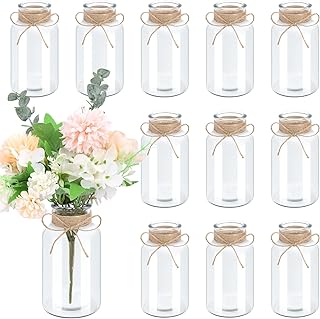 12PCS Vintage Glass Vases for Flowers, Farmhouse Clear Glass Vases for C...
