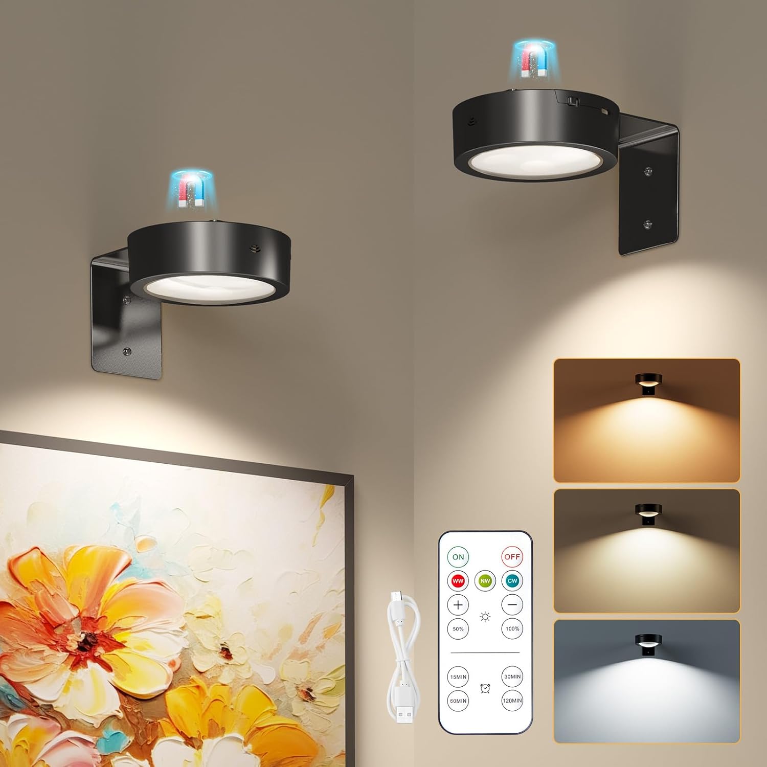 Brightown 2Pack Picture Lights for Wall,Rechargeable Battery Operated