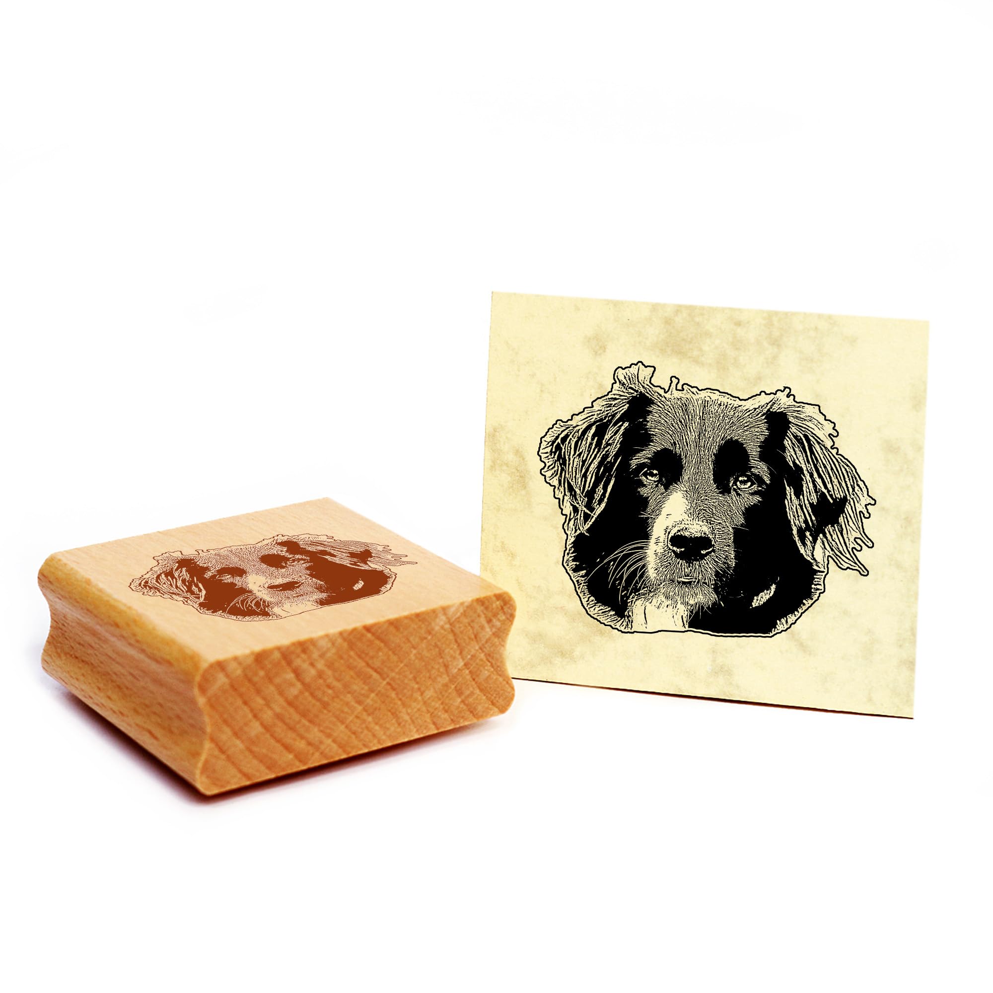 Dekolando Border Collie Dog Wooden Stamp 48 x 39 mm — image 1