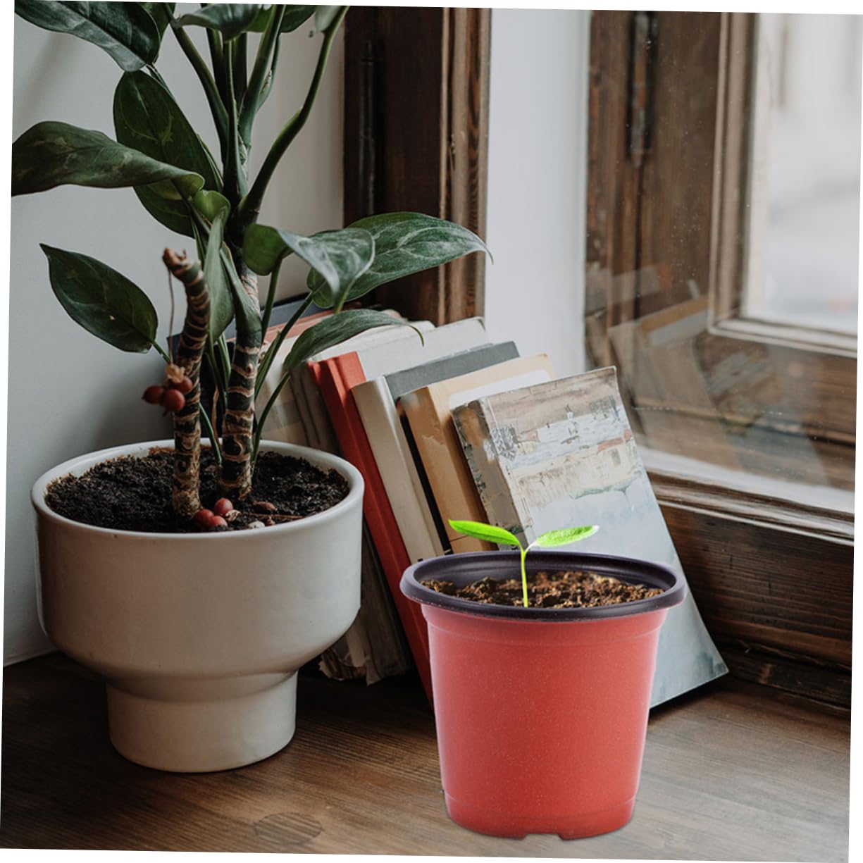 Gatuida 120 Pots pour Semis avec Drainage, Pots de Fleurs Plastique Légers pour Plantes Succulentes et Extérieur
