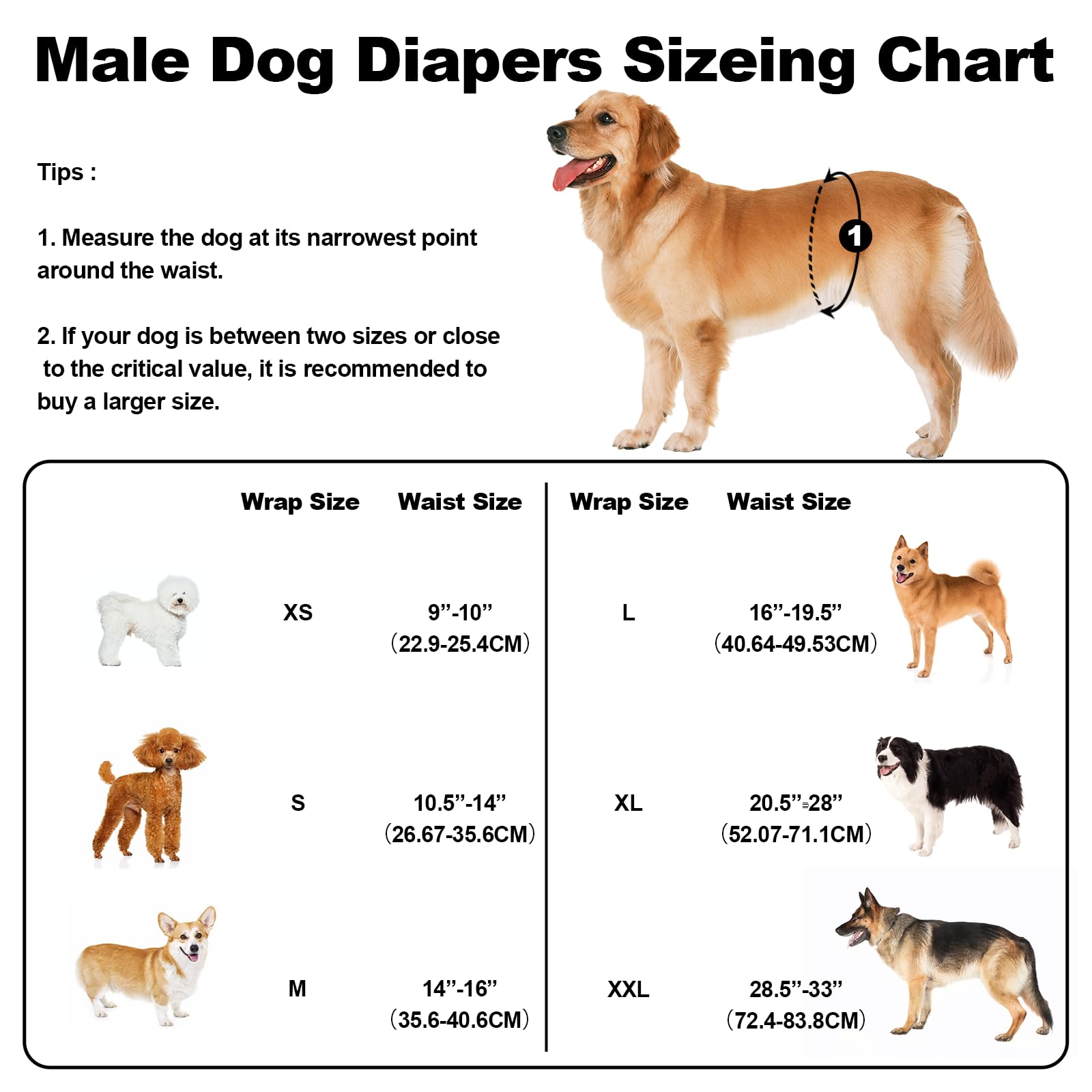 Amazon | 洗濯可能な犬用おむつ 男性用L、プレミアムベリーバンド オス
