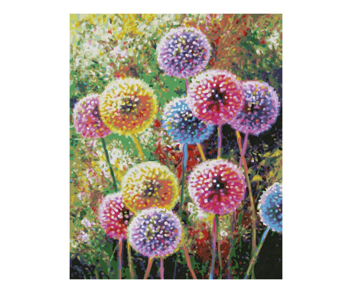 Schipper 609130872 Peinture par numéros - Feux d'artifice floraux - Photos de peinture pour adultes avec pinceaux et peintures acryliques - 40 x 50 cm